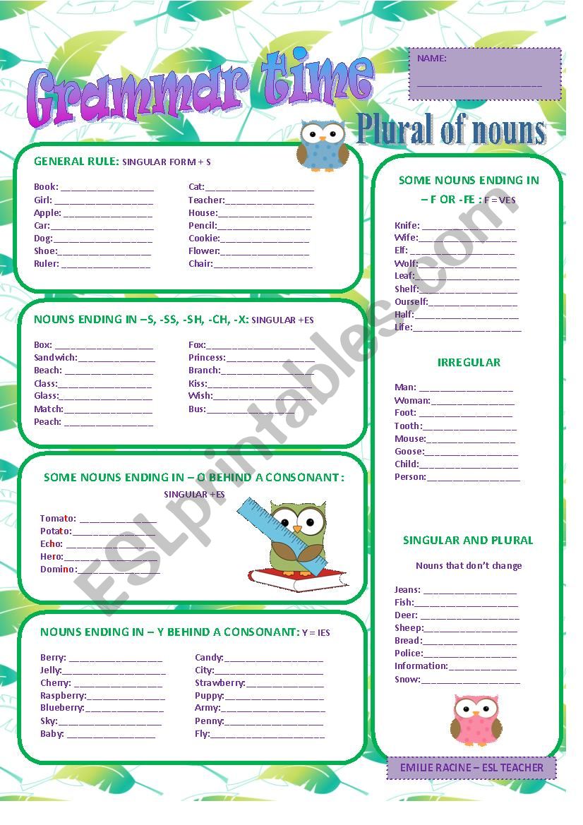 Plural of nouns worksheet worksheet