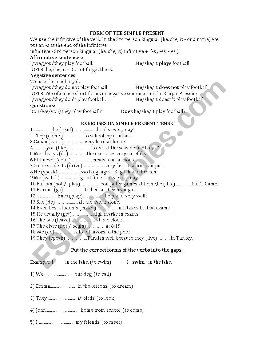 simple present worksheet