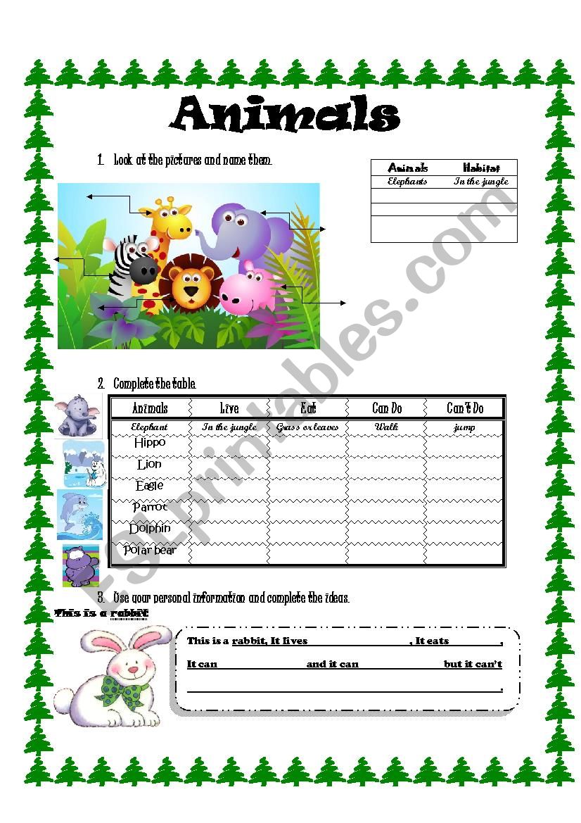 Animals worksheet