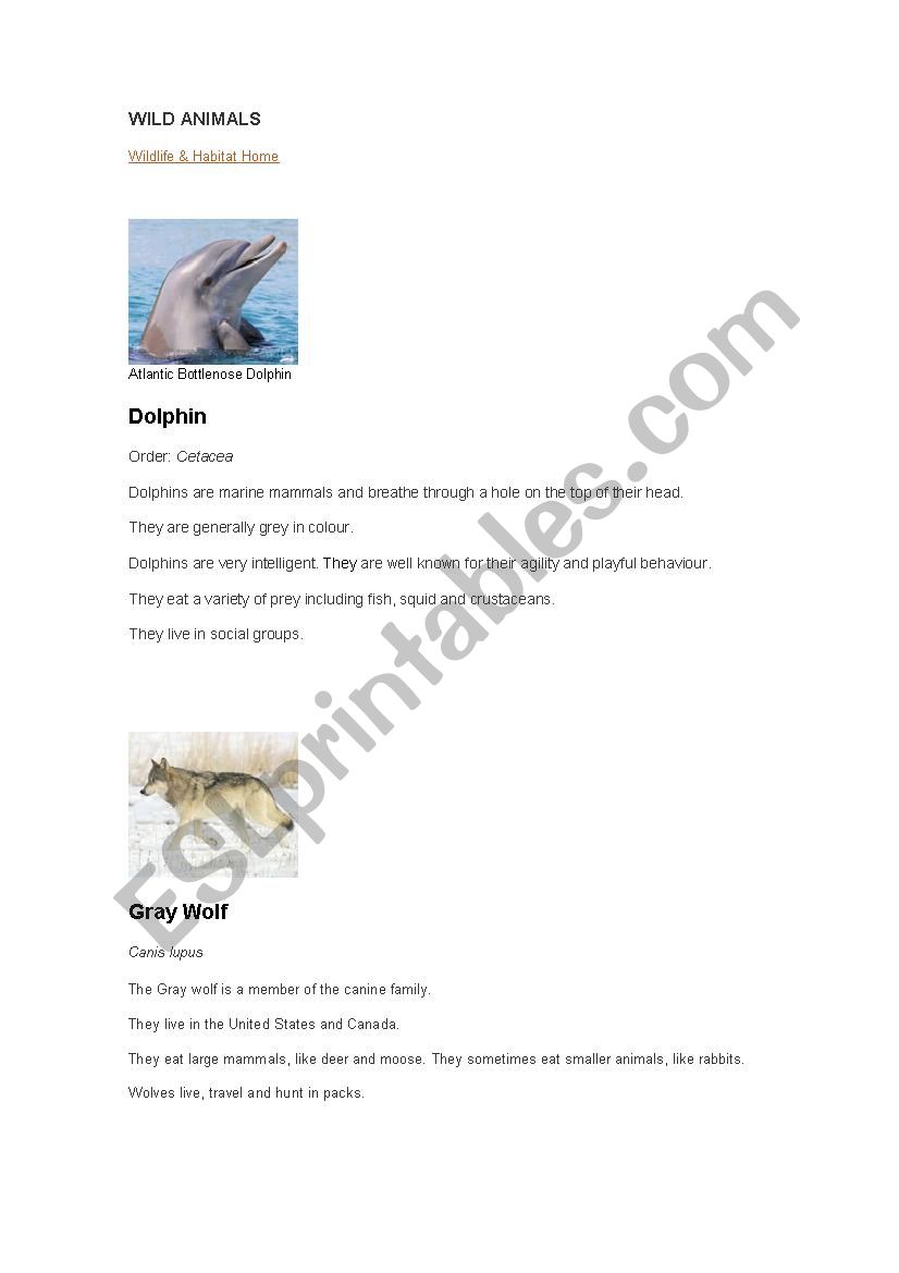 Wild animals - Web Quest worksheet