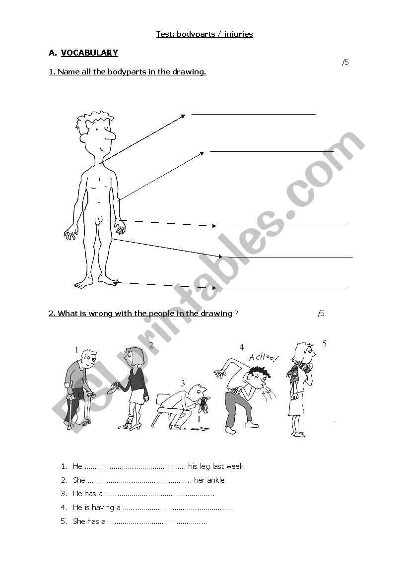 Test bodyparts, injuries worksheet