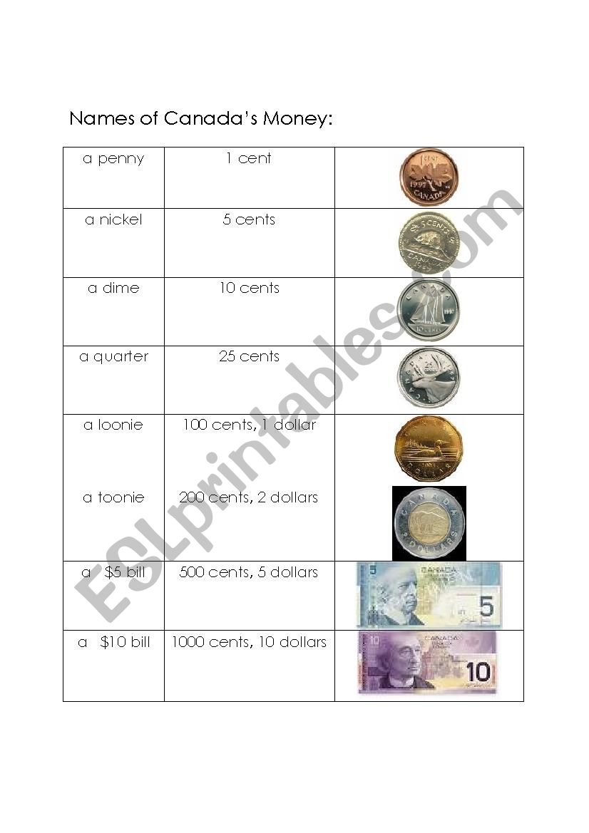 Canadian Money  worksheet
