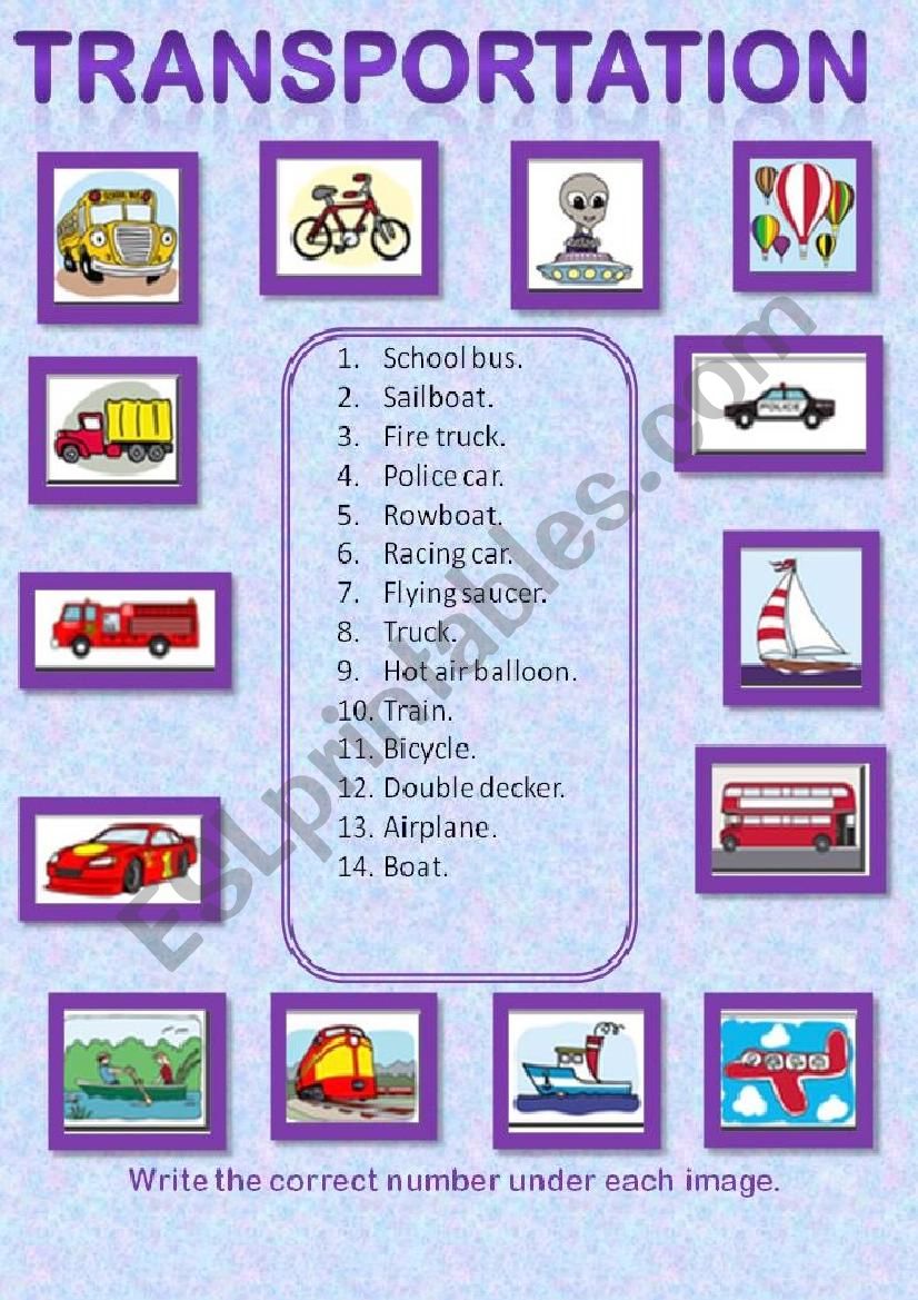 TRANSPORTATION. worksheet