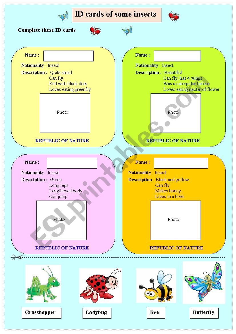 ID cards of some instects worksheet