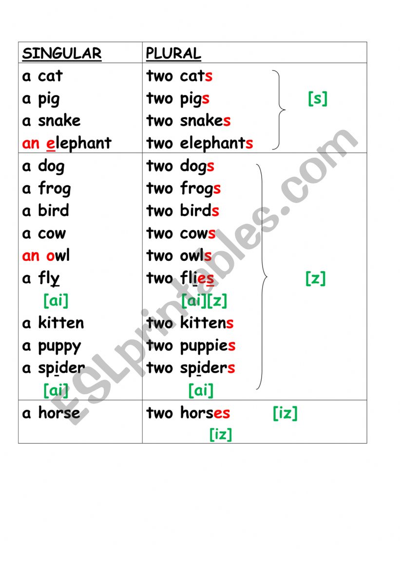 plural of nouns  worksheet