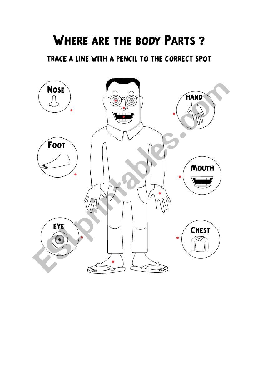 body parts worksheet