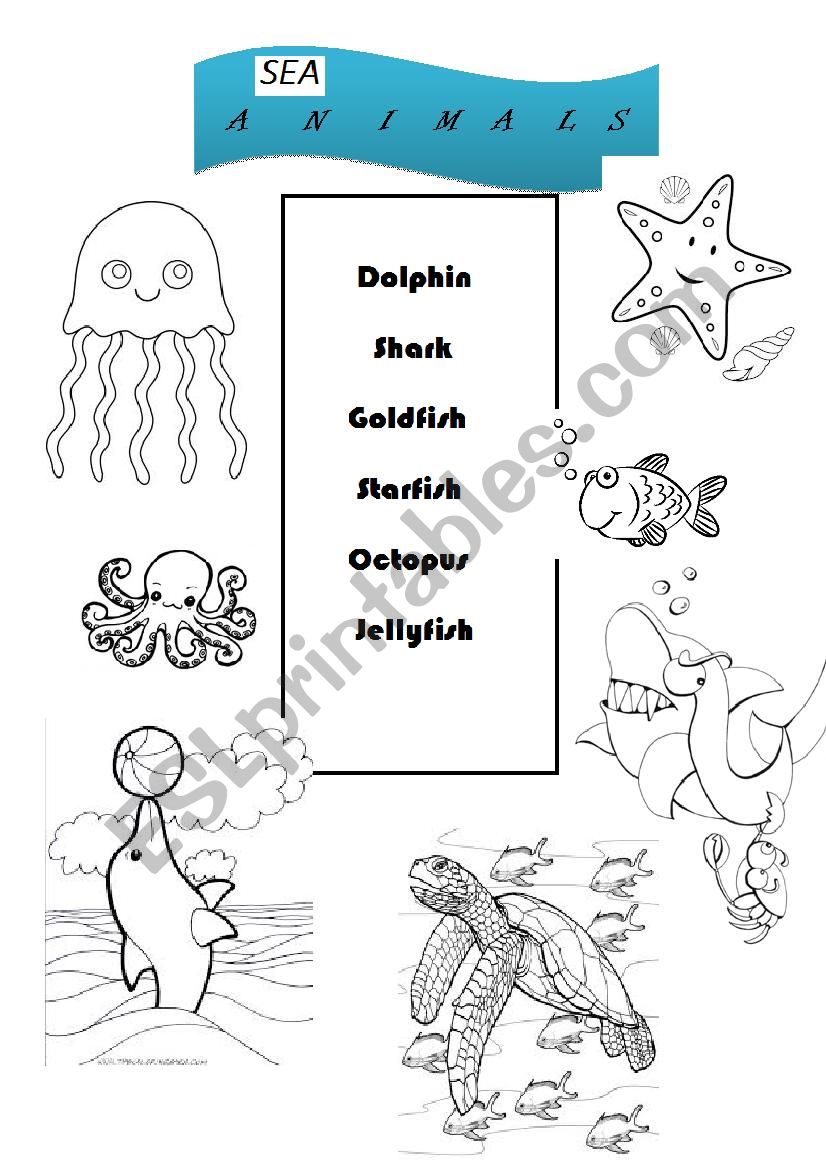 Sea Animals  worksheet