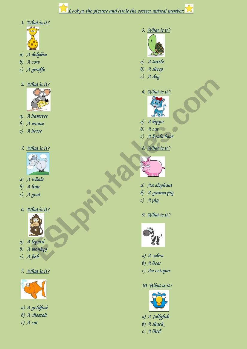 animals worksheet