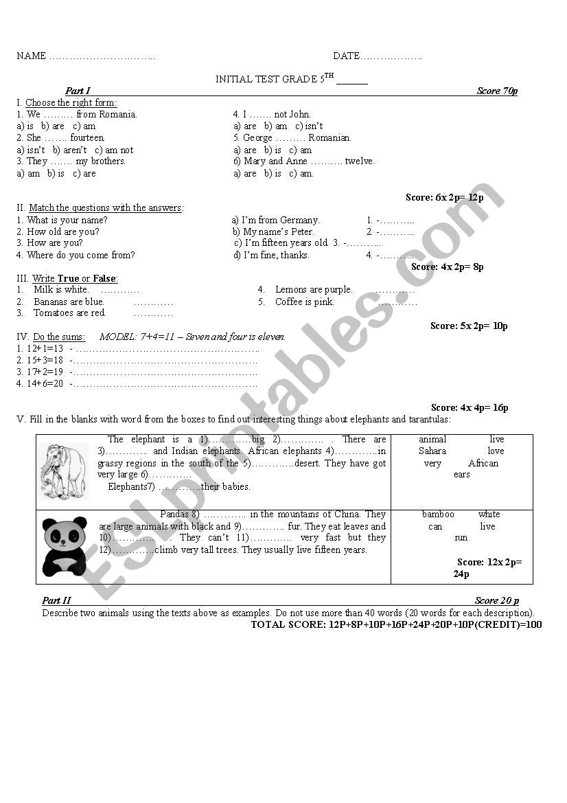 test 5th grade worksheet