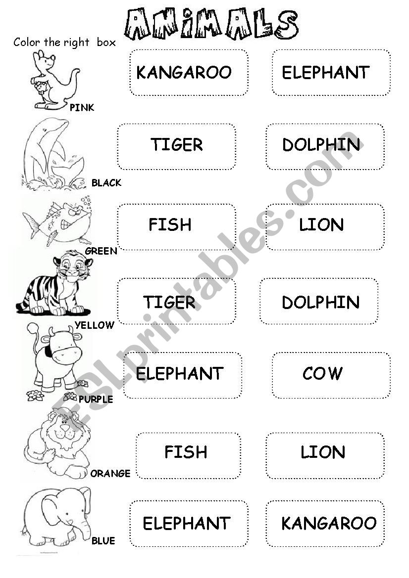 ANIMALS worksheet