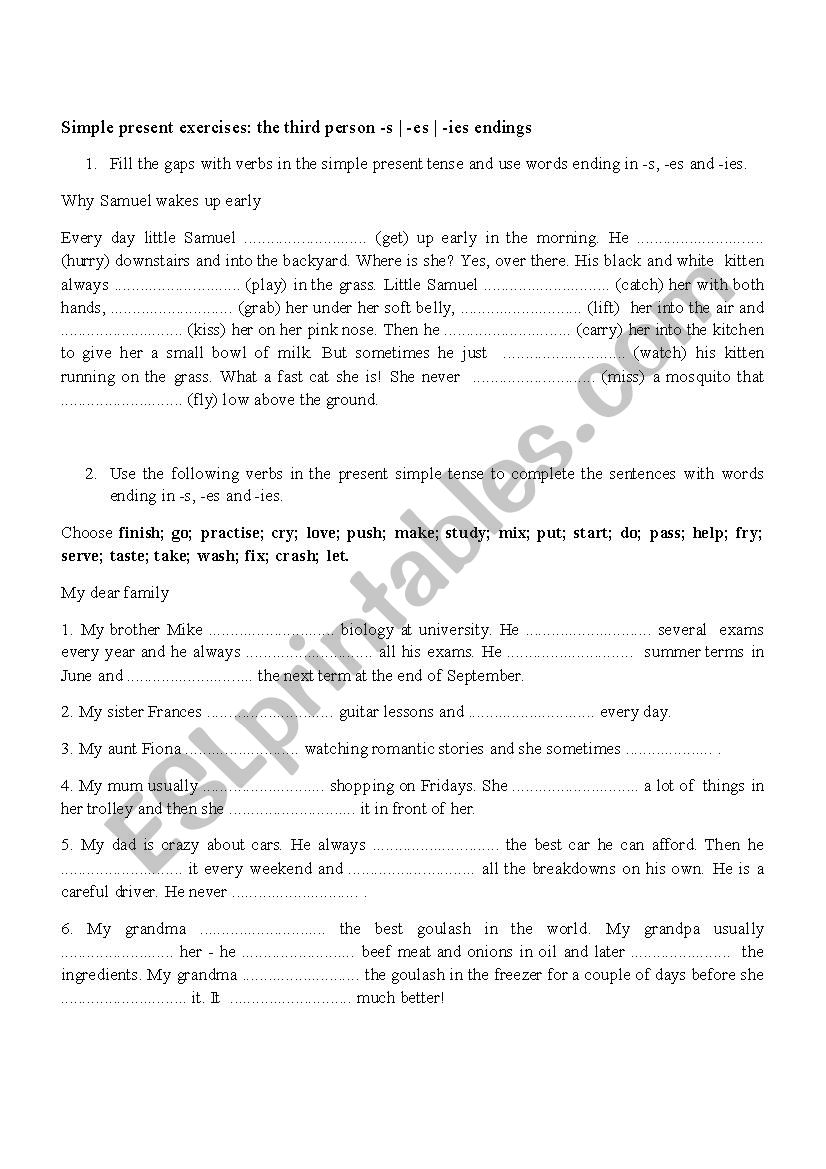 simple present exercise worksheet