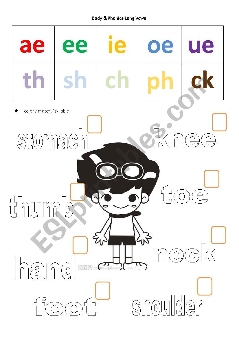 Body & Phonic-Long Vowel worksheet