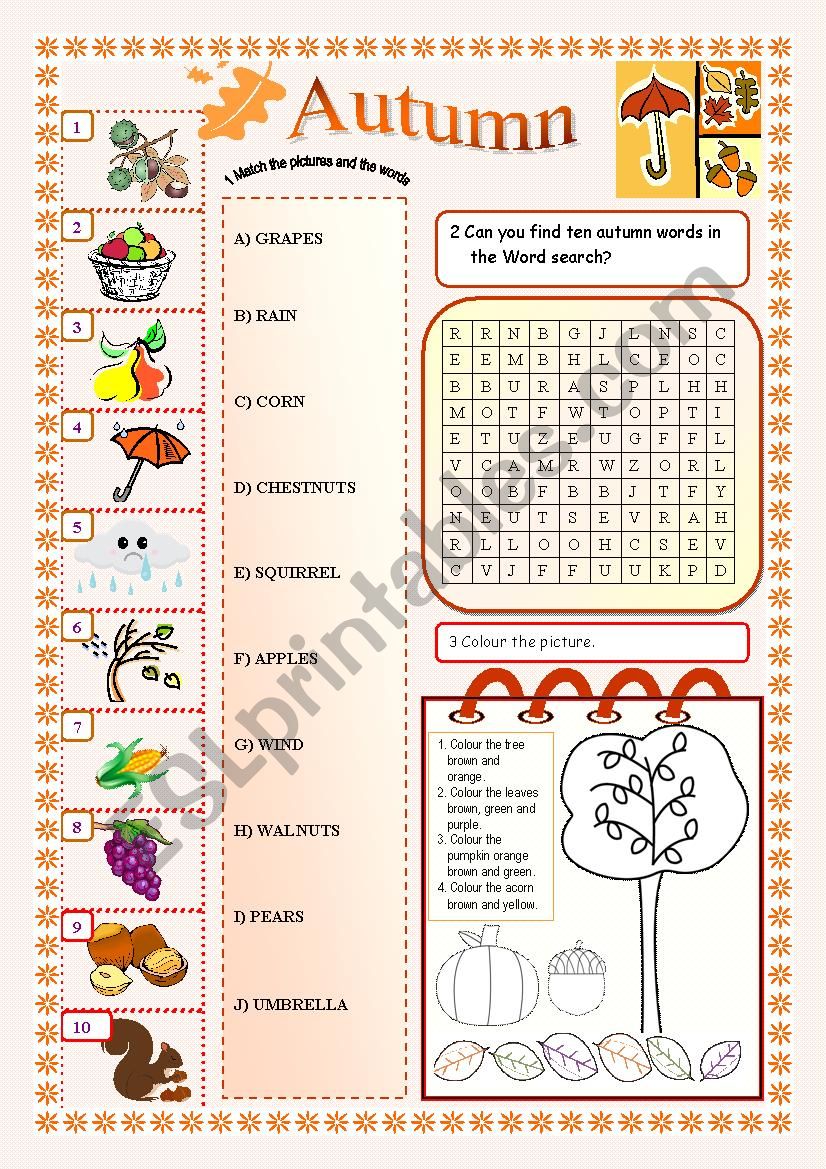 Autumn worksheet