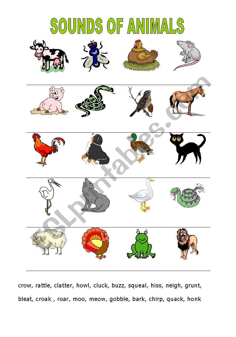 sounds of animals - ESL worksheet by dajmen1
