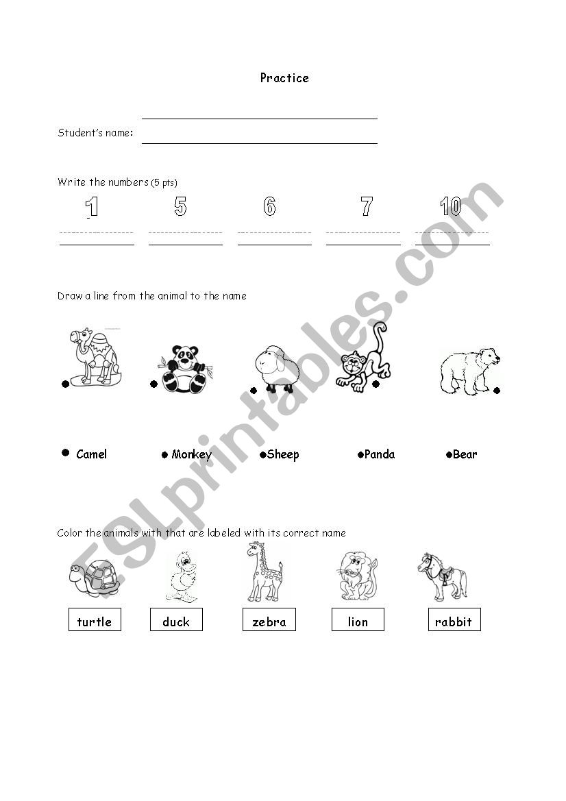 Practice worksheet