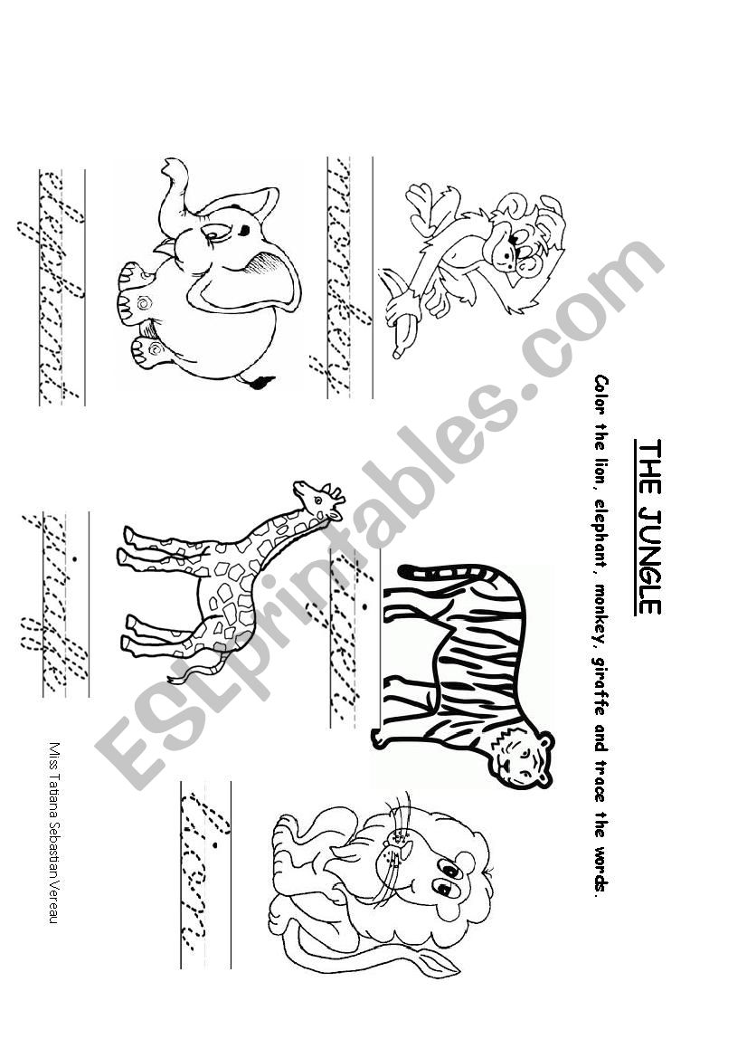 taty sebastian worksheet