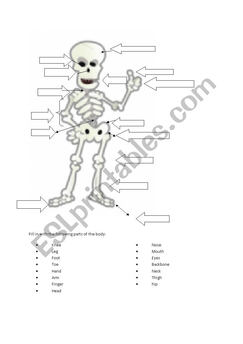 The Skeleton worksheet