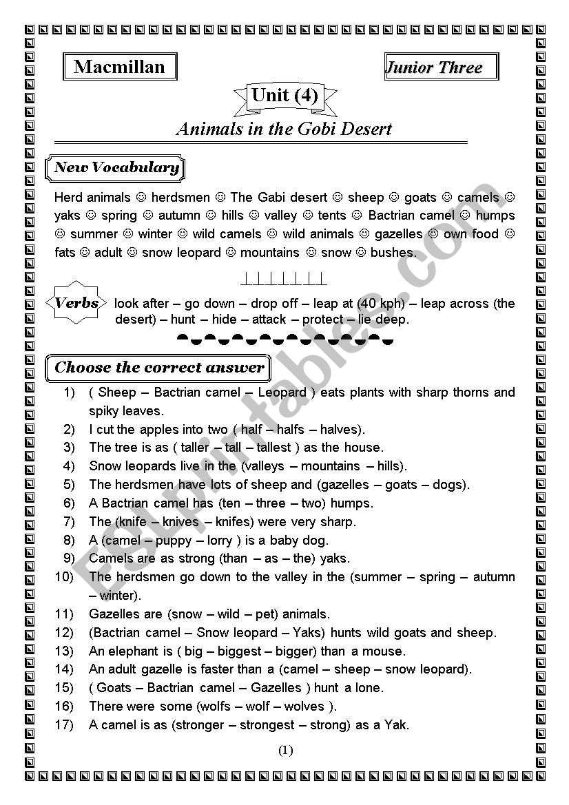 macmillan Junior three worksheet