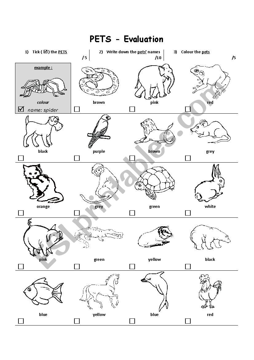 Pets and colours worksheet