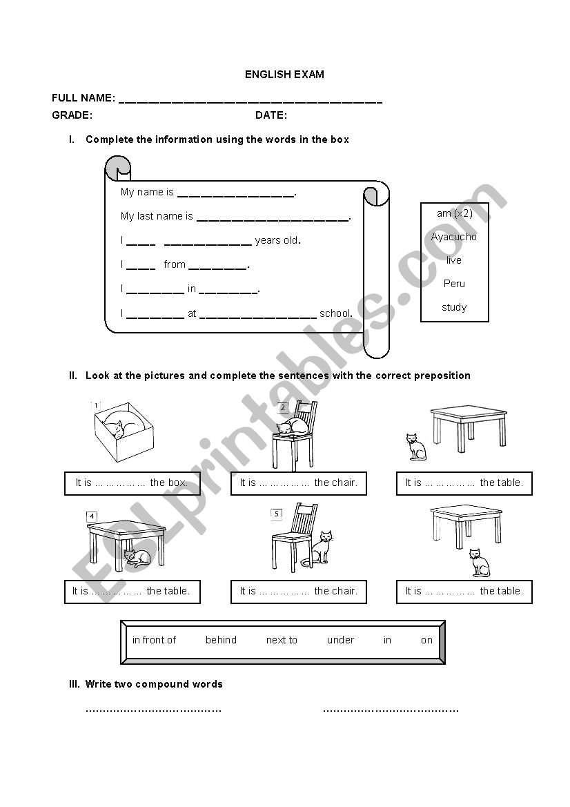 Grammar examination  worksheet