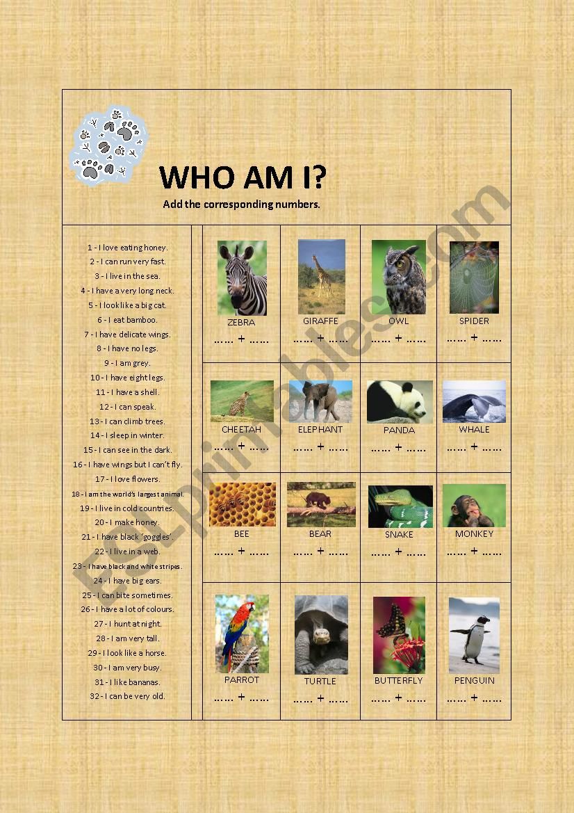 Who am I? A matching activity about animals