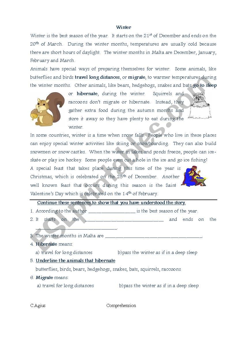 comprehension winter worksheet