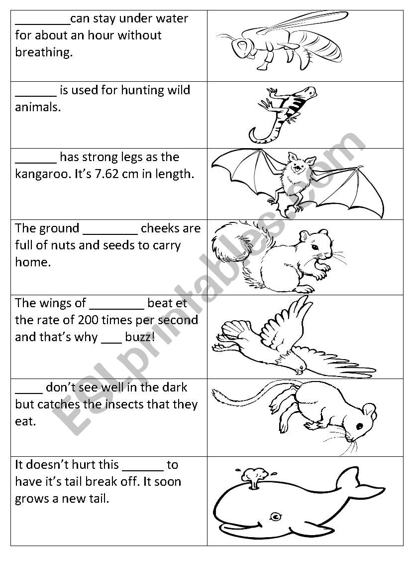 Animals matching task worksheet