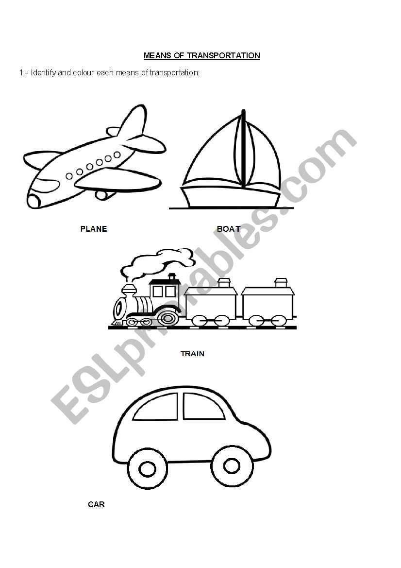 MEANS OF TRANSPORTATION worksheet