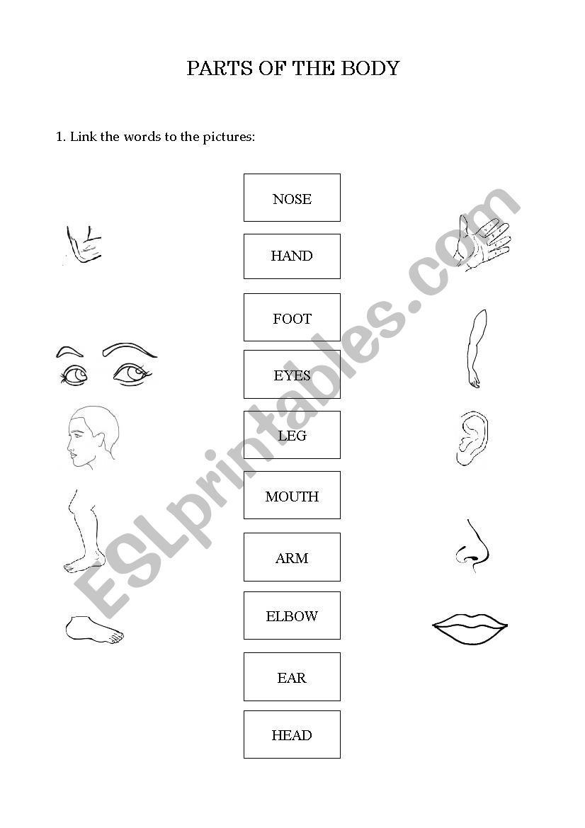 Parts of the body worksheet