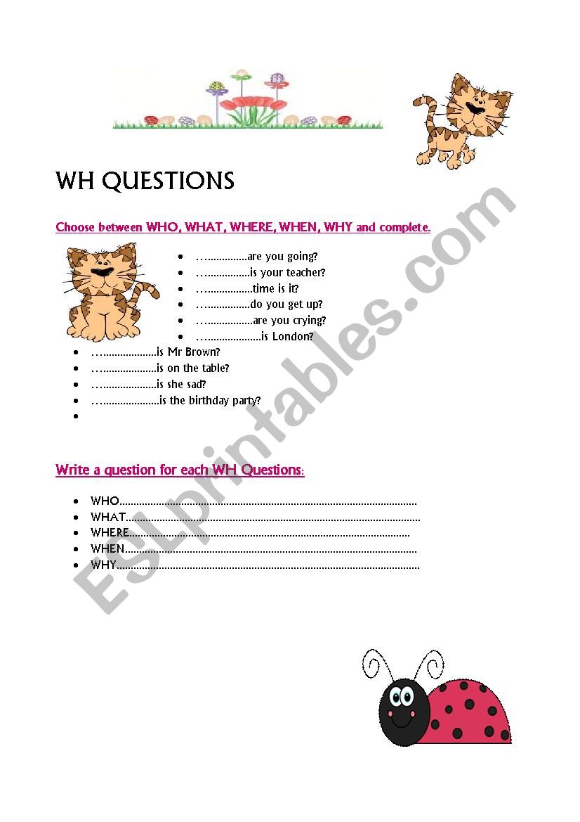 WH QUESTIONS worksheet