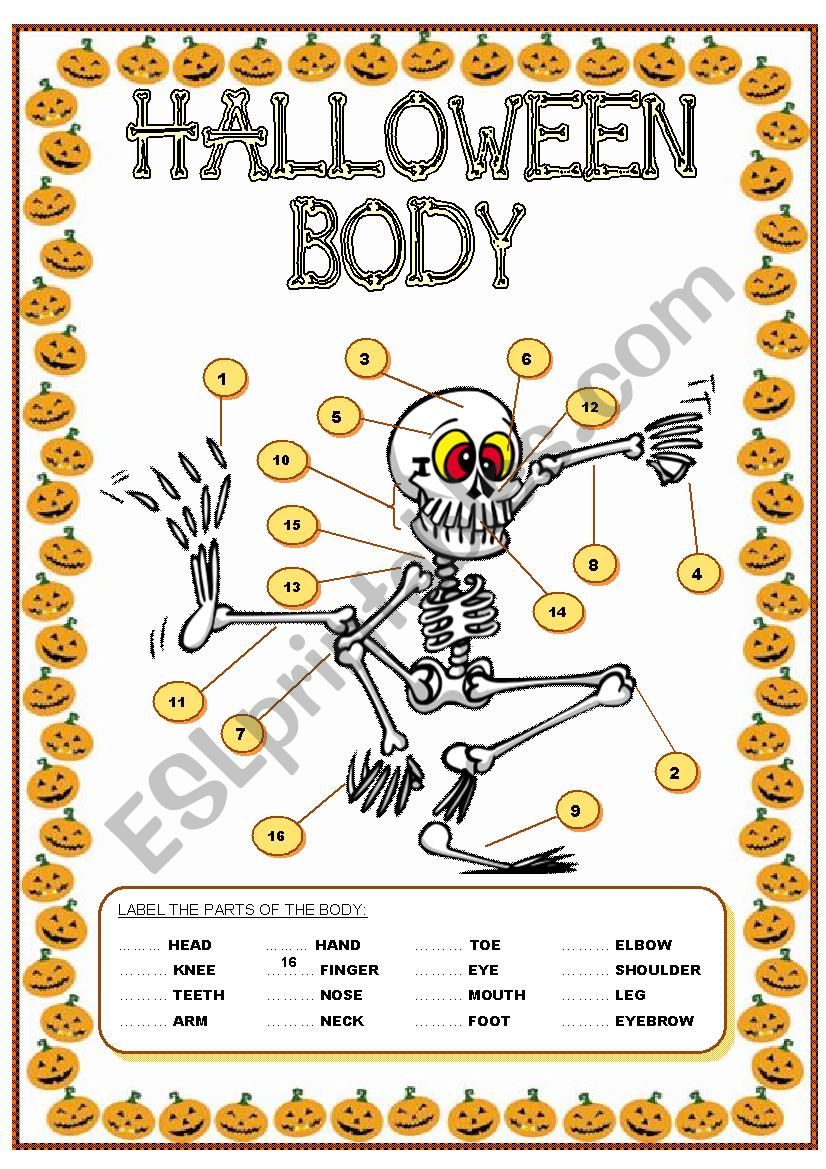 PARTS OF THE BODY worksheet