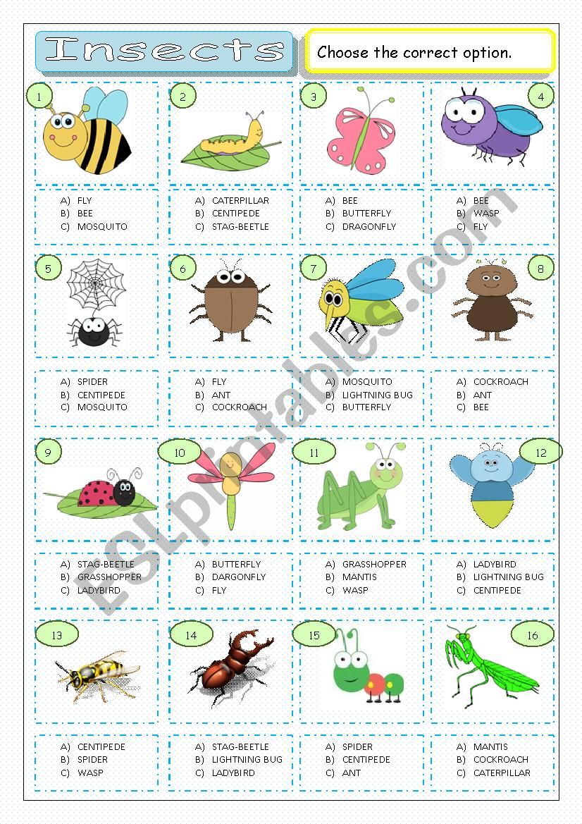 Insects - Multiple Coice worksheet