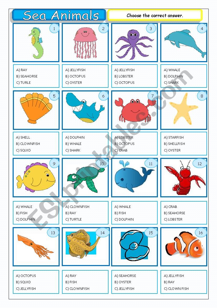 Sea Animals - Multiple Coice worksheet