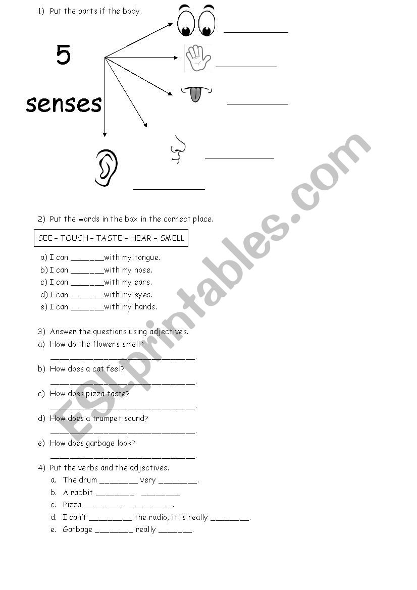 Five senses worksheet