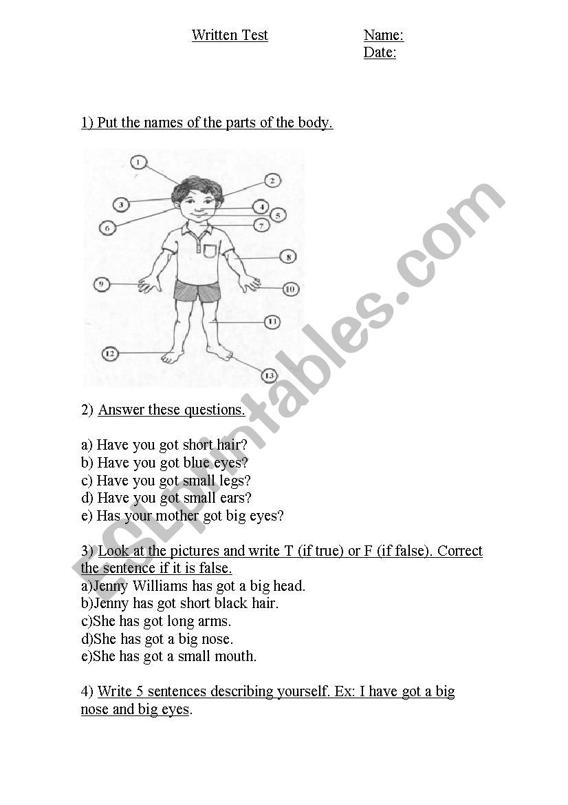 TEST PARTS OF THE BODY  worksheet