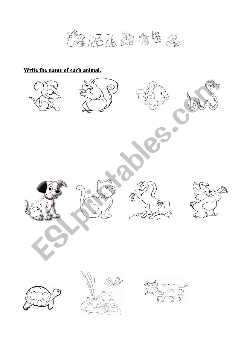 animals worksheet