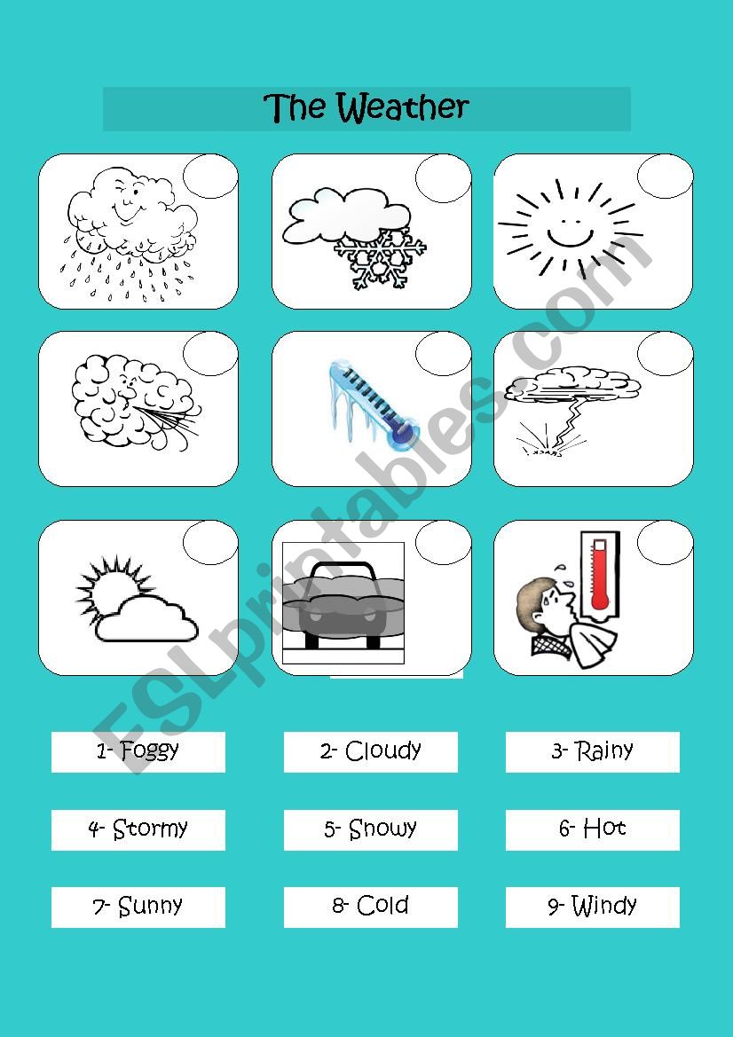 Weather worksheet worksheet