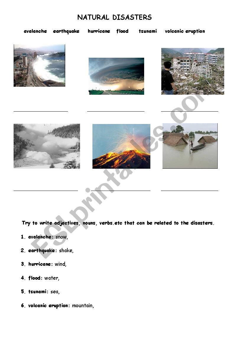 natural disaster worksheet