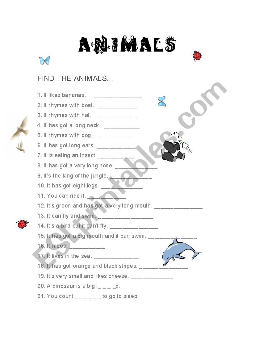 Animals worksheet worksheet