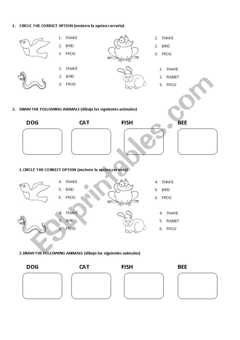 Animals worksheet