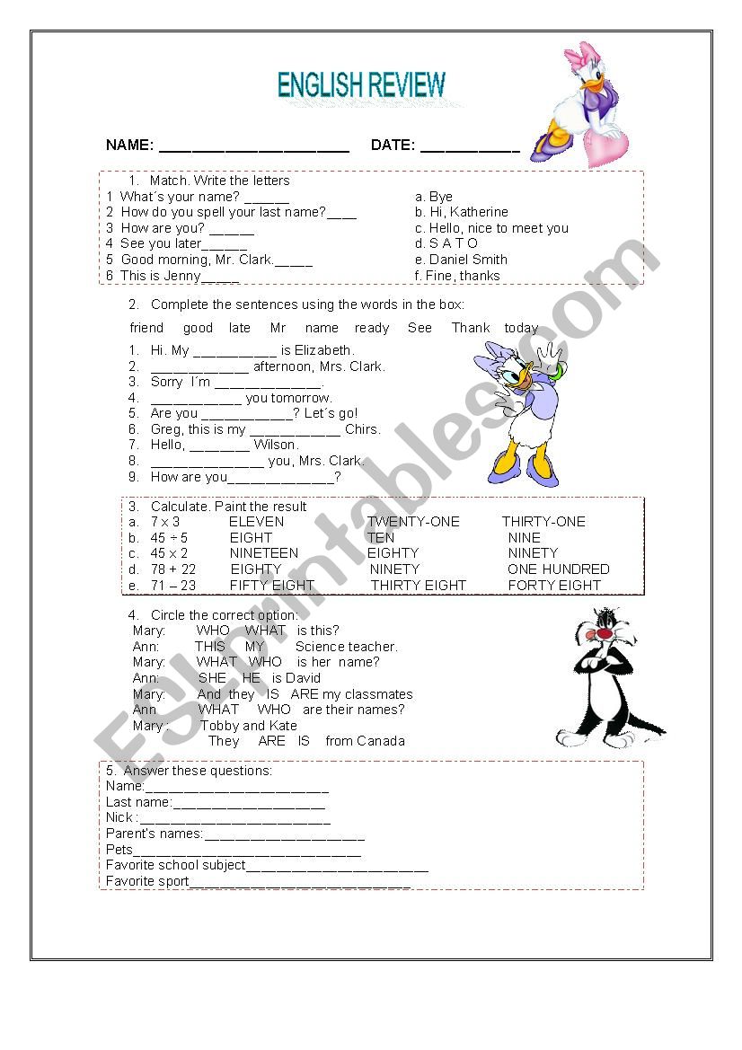 General review - vocabulary worksheet