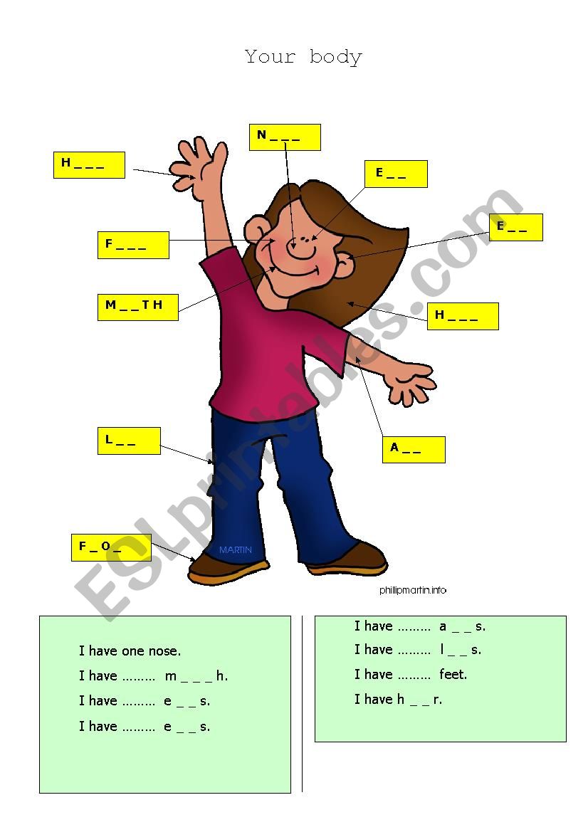 Your body worksheet