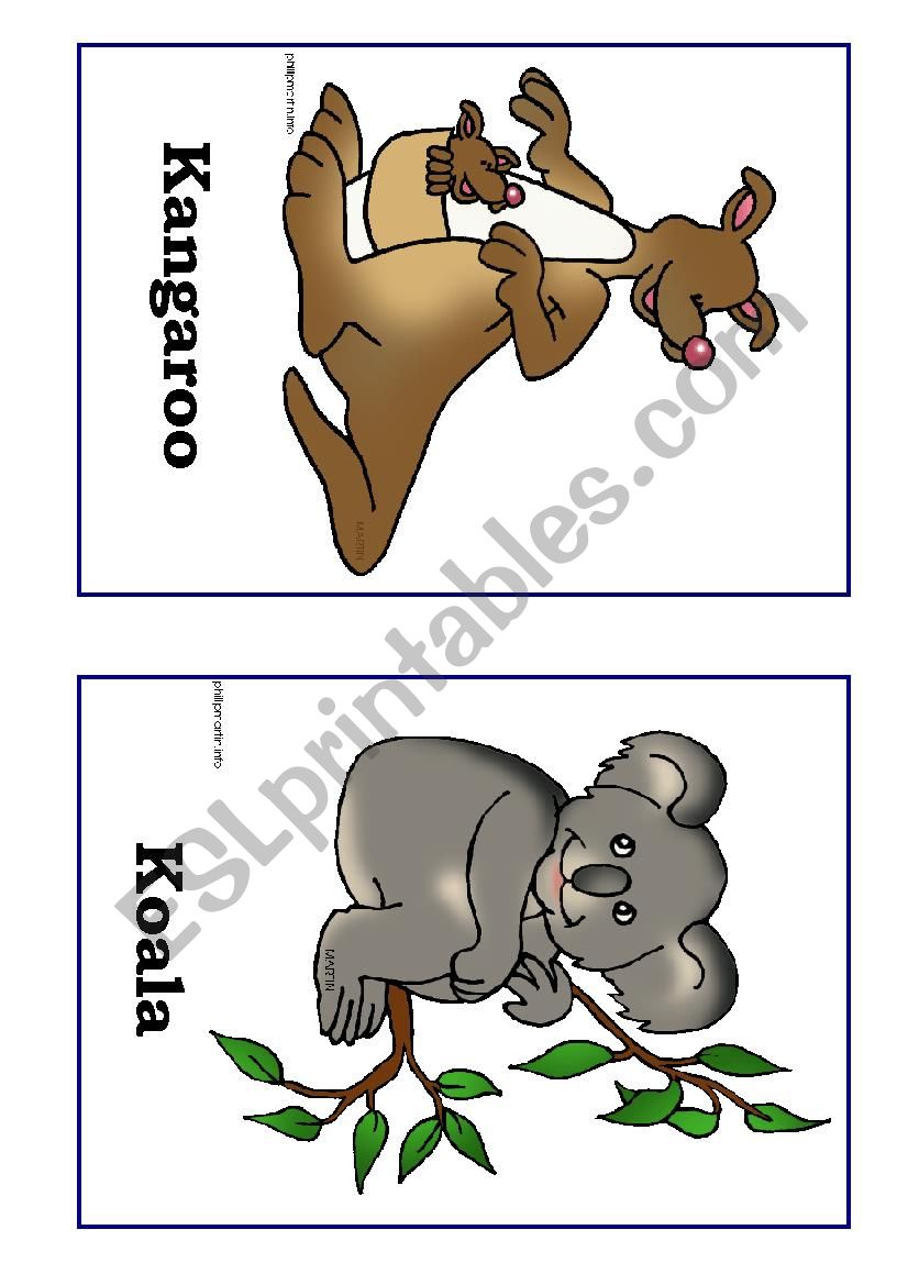 Australian animals worksheet