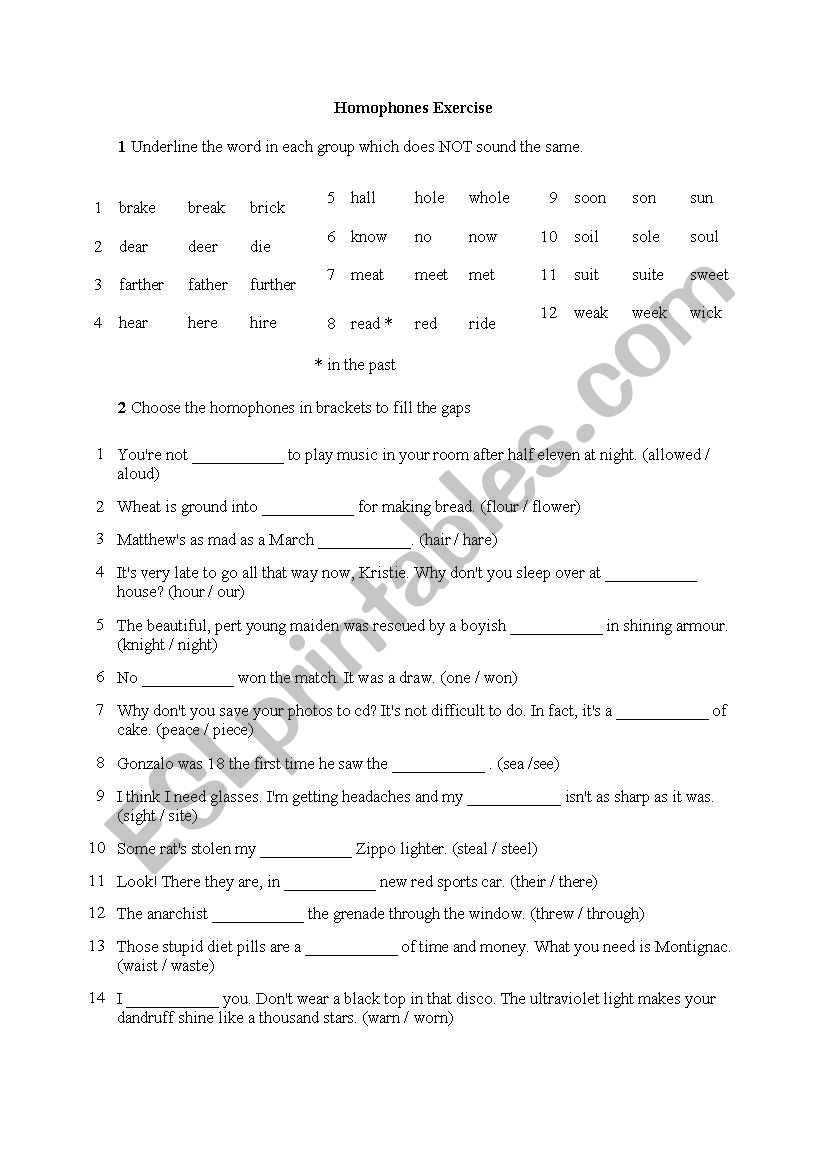 homophones worksheet