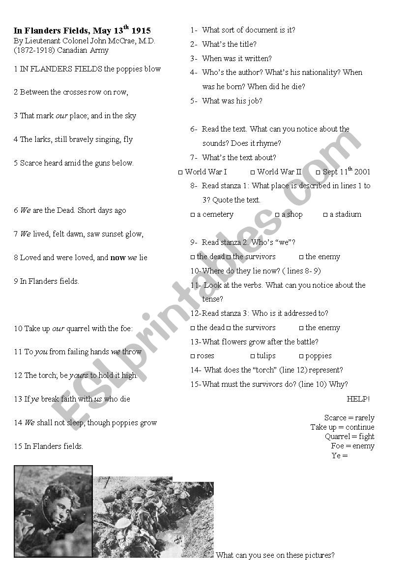 in flanders field, poppy day worksheet