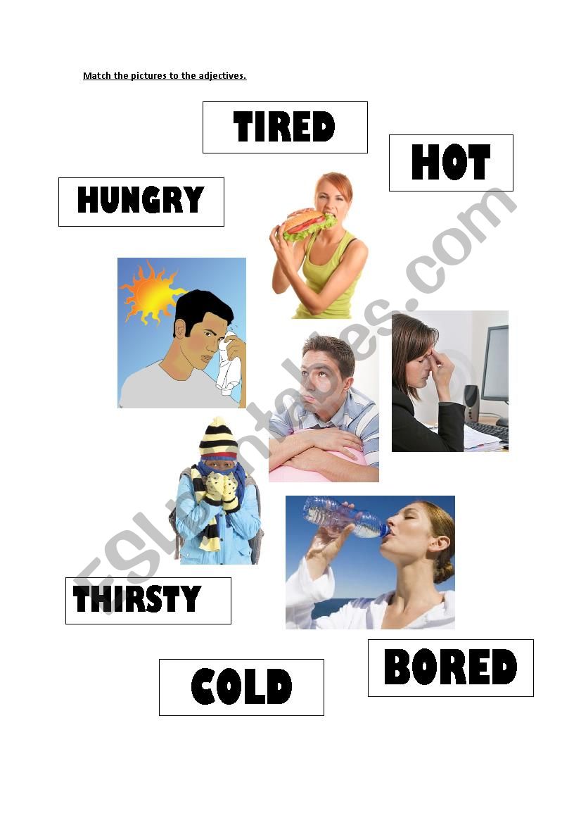 Adjectives worksheet