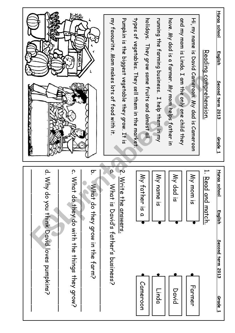 Reading comprehension worksheet