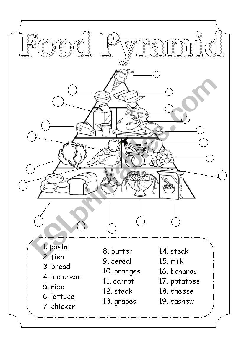 Food pyramid worksheet