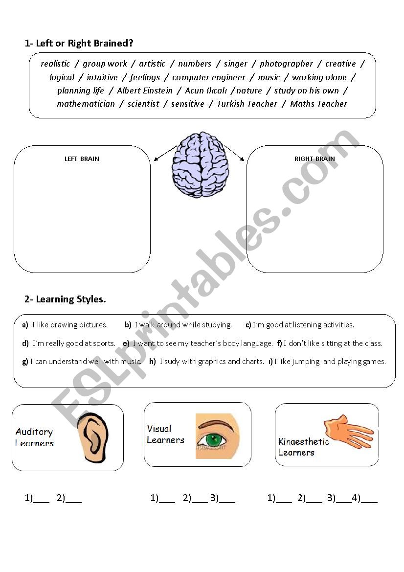multiple-intelligence-right-brained-or-left-brained-esl-worksheet-by-emperor21tr
