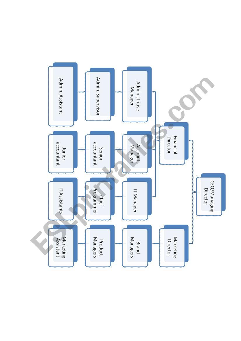 FLOW CHART OF A COMPANY worksheet